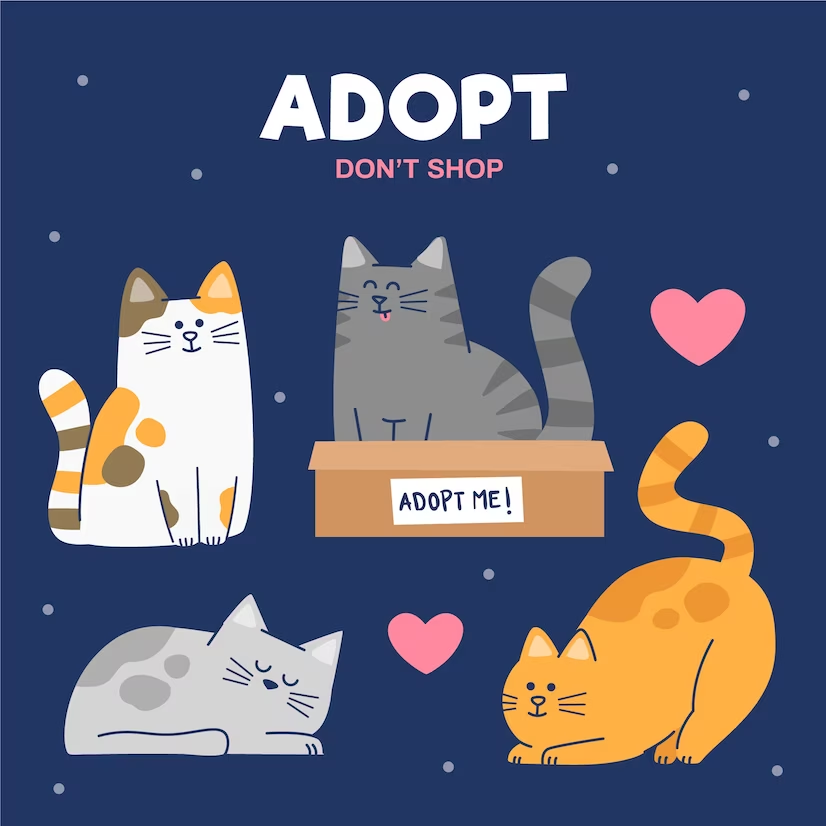 How to Choose the Perfect Cat Breed for Your Lifestyle and Personality